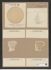 Coscinodiscus intumescens Pant. (de-Toni-Nr.: Genus 202, Species 5125) Zeichnungen Sammlung Grunow Nr. 8883 (NHMW-BOT-W0378530)